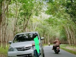 Akhirnya, Korban Penggelapan Mobil Diperiksa Polsek Pangkalan Brandan