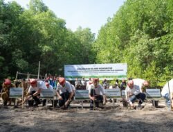 Peringati Hari Lingkungan Hidup Sedunia, Yayasan AHM Tanam Puluhan Ribu Mangrove