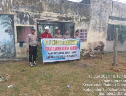 PT LTS Sumbang Sapi Kurban ke Polres Labuhanbatu