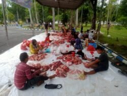 Rayakan Hari Raya Idul Adha 1445 H, Dinkes Deliserdang Sumbang 1 Ekor Lembu Qurban