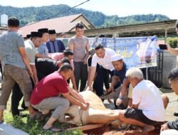 Hari Raya Idul Adha, Polres Tapteng Qurban 4 Ekor Lembu