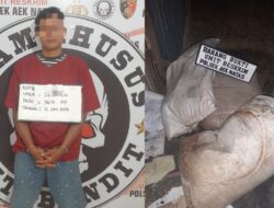 Polisi Tangkap Buruh Harian Pencuri Pupuk di PT Smart