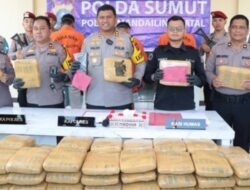 Polres Madina Amankan Mobil Bawa 110 Kg Ganja, 3 Pria Ditangkap