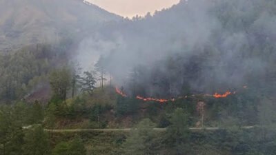 Kebakaran Hutan dan Lahan di Kawasan Danau Toba Samosir Capai 100 Hektare