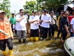 Pj Bupati Tinjau Banjir di Hamparan Perak