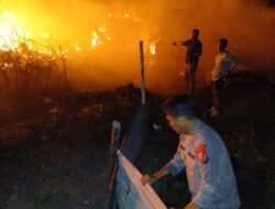 Belasan Pondok Wisata di Parapat Terbakar