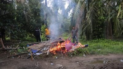 Polres Langkat Grebek Lalu Bakar Pondok Sarang Narkoba 