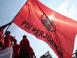 Tunggu Sikap Tegas Terhadap Jokowi, Kader PDIP ini Minta jangan Ada Standar Ganda