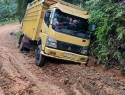 Baru Setahun Pengerasan, Jalan di Desa Pangkalan Siata Hancur Lebur, Colt Diesel Terperosok