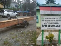 Kayu Olahan Ilegal Asal Aceh Bebas Masuk ke Langkat, Pos Dinas Kehutanan di Perbatasan Sumut Diduga Terima Upeti