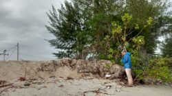 Budidaya Tambak Udang di Pandan Laut Sebabkan Abrasi Pantai, Bupati Masinton Pasaribu Diminta Tinjau Ulang Izin Tambak