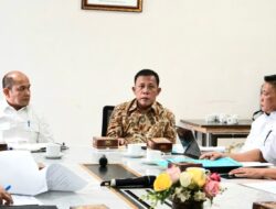 Bupati Masinton Minta Hibah ke Pemprov Sumut Untuk Bangun RSU dan Sekolah Rakyat di Desa Sipea-pea