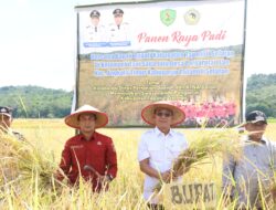 Panen Raya di Saba Julu Pargarutan Jae, Bupati Gus Irawan: Tapsel Miliki Potensi Swasembada Pangan