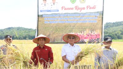 Panen Raya di Saba Julu Pargarutan Jae, Bupati Gus Irawan: Tapsel Miliki Potensi Swasembada Pangan