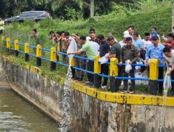 Bupati Tapsel Lepas 6000 Benih Ikan Air Tawar di Bendungan Irigasi Batang Angkola