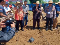 Dukung Program Ketahanan Pangan, FKMPLM Tanjung Morawa Bersama Anggota DPRD Sumut Tanam Jagung dan Ubi