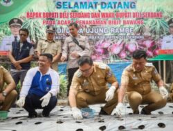 Dorong Swasembada Pangan, Bupati Deliserdang Ikut Tanam Bawang