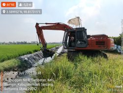 Antisipasi Terjadinya Banjir, Dinas PUPR Deliserdang Normalisasi Saluran Irigasi di Tumpatan Nibung