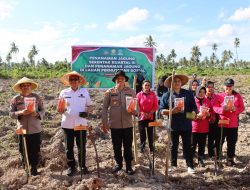 Wujudkan Swasembada Pangan 2025, Polres dan Pemko Tanjungbalai Tanam Jagung Serentak Kuartal III