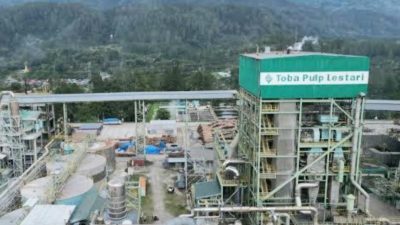 Diatei Tupa PT Toba Pulp Lestari