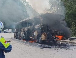 Bus Pariwisata Bawa 40 Penumpang Terbakar di Jalur Bandar Baru