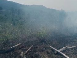 Kebakaran Hutan Terjadi di STM Hulu Akibat Warga Buka Lahan, Kepala BPBD Tidak ada di Lokasi ‎
