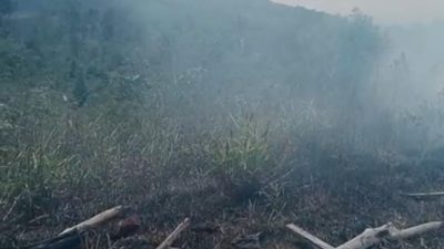 Kebakaran Hutan Terjadi di STM Hulu Akibat Warga Buka Lahan, Kepala BPBD Tidak ada di Lokasi ‎