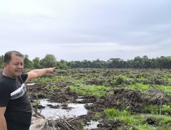 PT Sago Rusak dan Serobot Lahan Warga di Unte Mungkur IV Tapteng