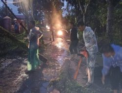 BPBD Binjai Sigap Evakuasi Pohon Tumbang, Arus Lalu Lintas di Jalan Teuku Umar Kembali Lancar