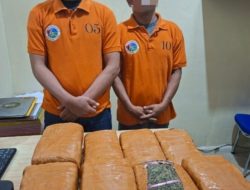 Polres Belawan Tangkap Dua Bandar Narkoba, Barbuk 13 Kg Ganja Kering
