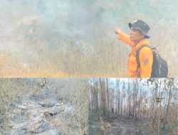 Kebakaran Hutan STM Hulu Deliserdang Meluas dan Sulit Dijangkau