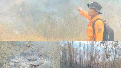 Kebakaran Hutan STM Hulu Deliserdang Meluas dan Sulit Dijangkau