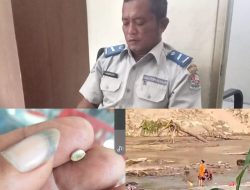 Warga Galang Berhasil Dulang Emas Dari Sungai Titi Besi Pulau Gambar, Sehari Bisa Dapat 3 Gram
