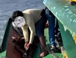 Gas Pool! Ditresnarkoba Polda Sumut Gagalkan Peredaran 190 Kg Sabu Dari Laut Brandan