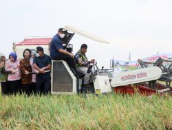 Panen Raya Bersama Brigade Pangan, Bupati Asri Ludin Tambunan: Kita Prioritaskan Kebutuhan Beras di Deliserdang