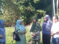 Viral Guru Honor Tinggal di Gubuk Reyot, Kadis Kominfostan: Jangan Cepat Merespon, Ada Baiknya Tabayyun Dulu!