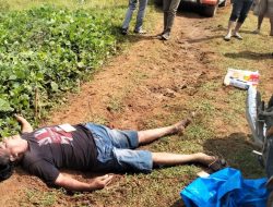 Pria Tua Tanpa Identitas Ditemukan Tewas di Kebun Lonsum Tanjung Morawa