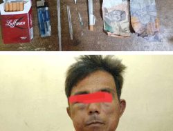 Curi Ayam Siam Pria di Binjai Barat Ditangkap Polisi, Eh Rupanya Simpan Ganja Juga