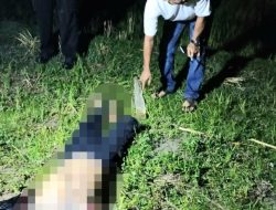 Diisukan Pelaku Santet, Seorang Pria di Barus Tewas Dianiaya Puluhan Warga, 1 Pelaku Ditangkap
