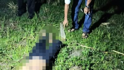 Diisukan Pelaku Santet, Seorang Pria di Barus Tewas Dianiaya Puluhan Warga, 1 Pelaku Ditangkap