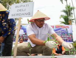 Sibolangit Sentra Cabai dan Kawasan Wisata, Bupati: Tahun Depan 10 Hektar Khusus Tanam Cabai