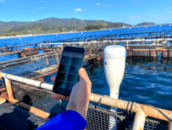 Peranan Kecerdasan Buatan (AI) untuk Meningkatkan Produksi Ikan