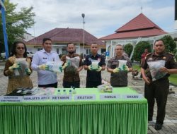 Kejari Deliserdang Musnahkan Barang Bukti dari 482 Perkara Inkrah