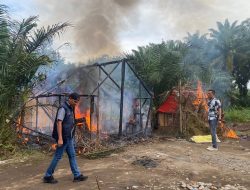Polres Binjai Kembali Gerebek dan Musnahkan Barak Narkoba di Sei Bingai