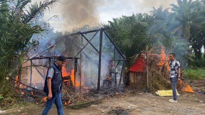 Polres Binjai Kembali Gerebek dan Musnahkan Barak Narkoba di Sei Bingai