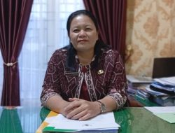 Soal TKS Nakes Dirumahkan, Kadis Kesehatan: Pemkab Tapteng Berupaya Berikan Perhatian dan Peluang Kerja