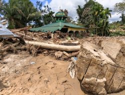 11 Pemain Kayu di Tapsel Diduga Pemicu Bencana Mematikan