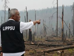 LIPPSU: Hutan Sumut Sudah Kronis, Cabut Izin PT TPL