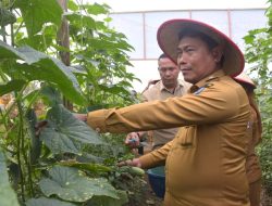 Wabup: Deli Serdang Sehat, Petaninya Sejahtera