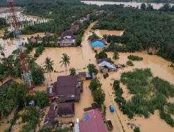 Update! Korban Meninggal Bencana Sumatera 836 Orang, 518 Hilang
